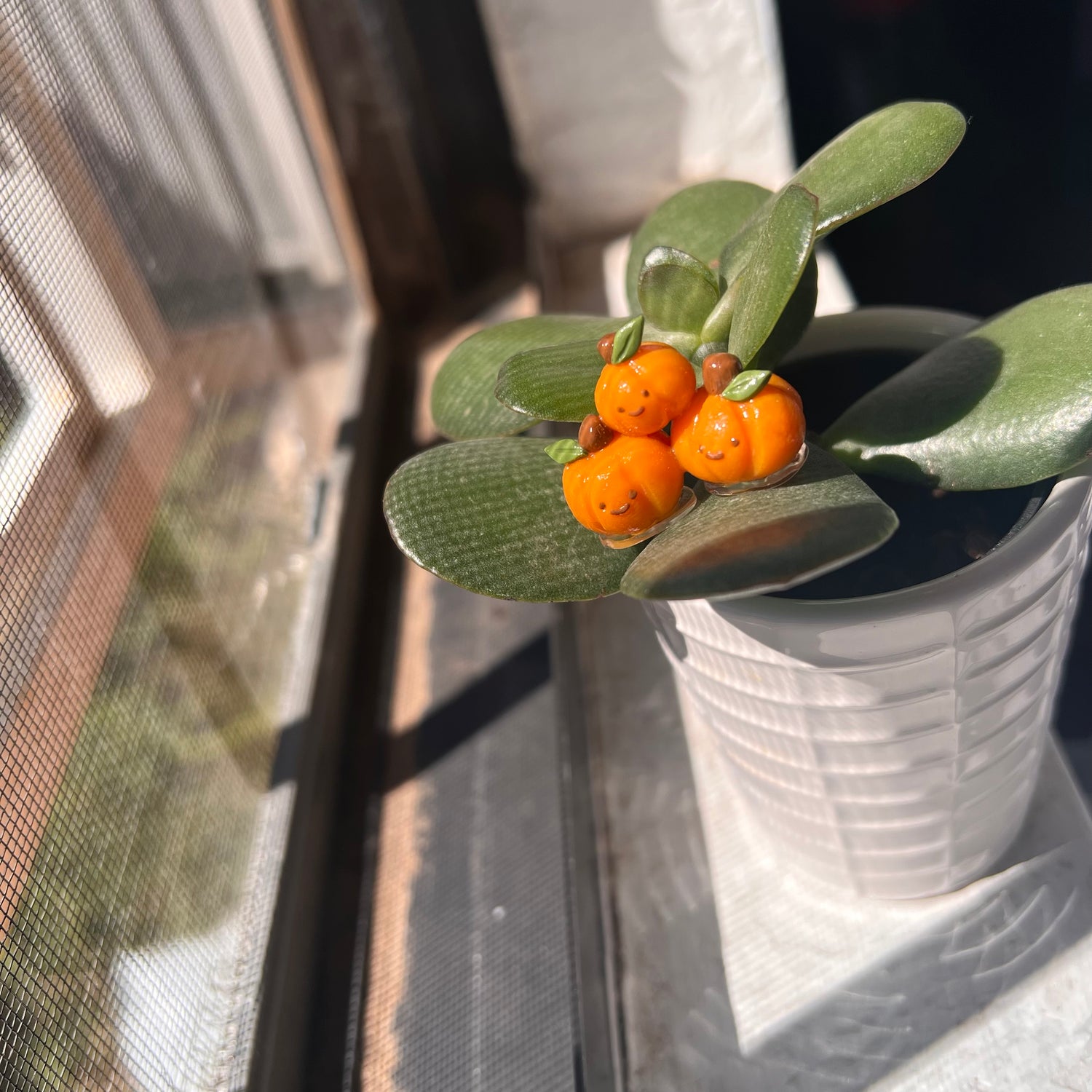 Phone Peekers and Charms